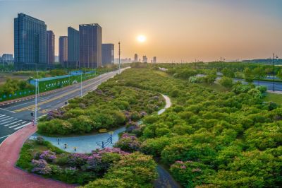 松北区市政府广场花海一湖三岛湿地美景