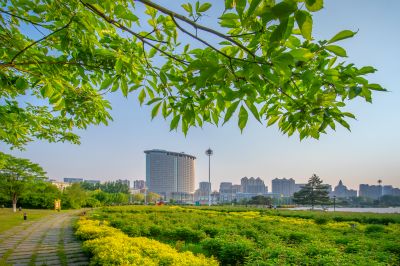 松北区市政府广场花海一湖三岛湿地美景