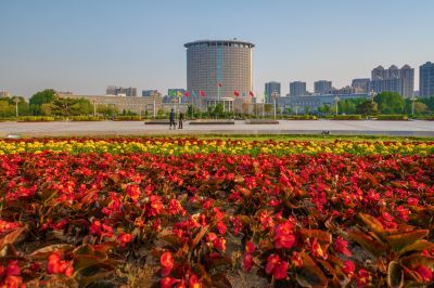 松北区市政府广场花海一湖三岛湿地美景