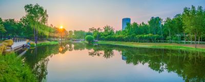丁香公园风景画