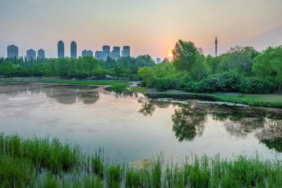 丁香公园风景画