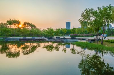 丁香公园风景画