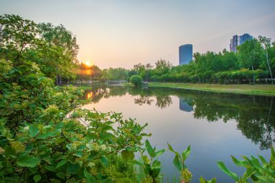 丁香公园风景画
