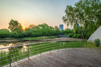 丁香公园风景画
