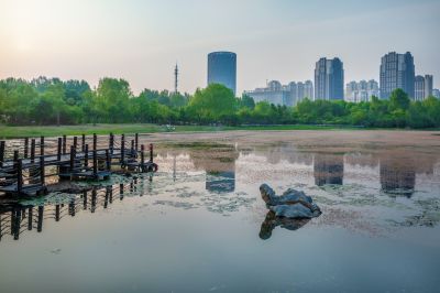 丁香公园风景画