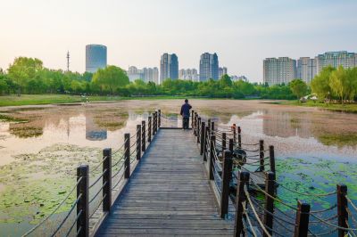 丁香公园风景画
