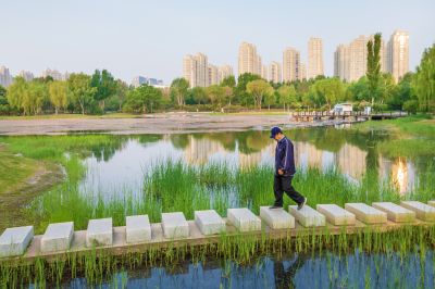 丁香公园风景画
