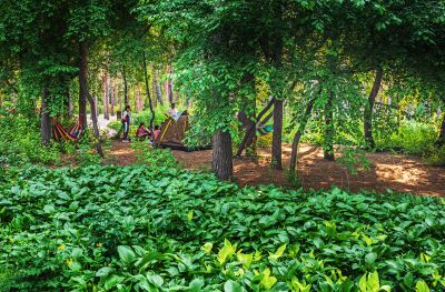 黑龙江植物园初夏