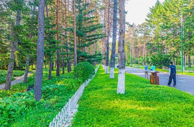 黑龙江植物园初夏