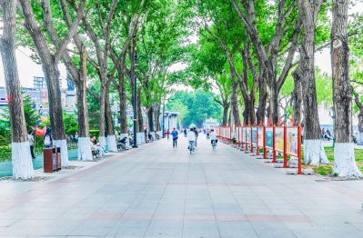 夏日松花江畔 斯大林公园游人
