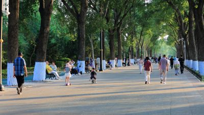 盛夏斯大林公园