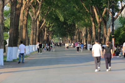 盛夏斯大林公园