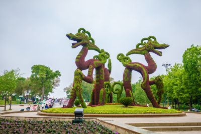 端午节清晨太阳岛 