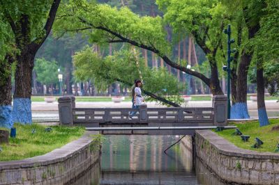 端午节清晨太阳岛 