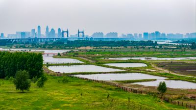 群力外滩湿地