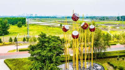 群力外滩湿地