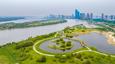 群力外滩湿地