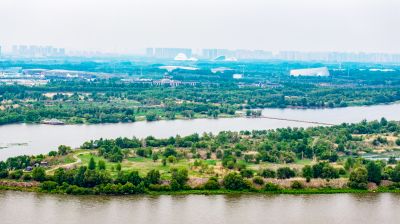 群力外滩湿地