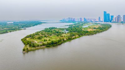 群力外滩湿地