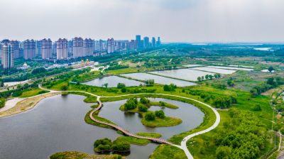 群力外滩湿地