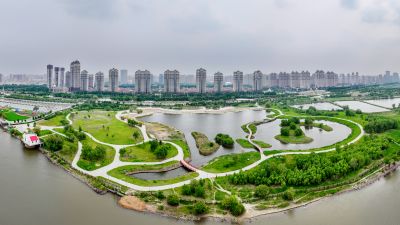 群力外滩湿地