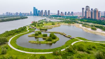 群力外滩湿地