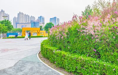 丁香公园