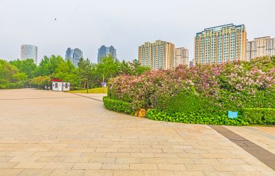丁香公园