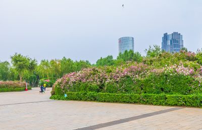 丁香公园