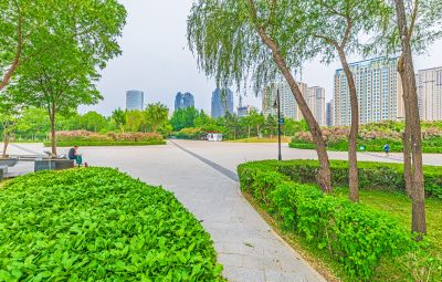丁香公园