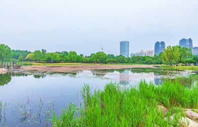丁香公园
