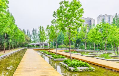 金河公园