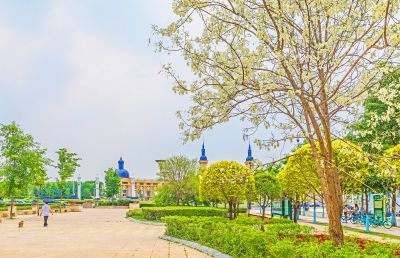 金河公园