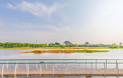 大剧院湿地