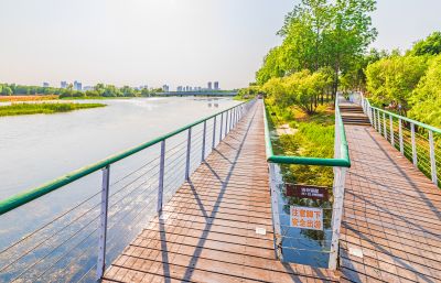 大剧院湿地