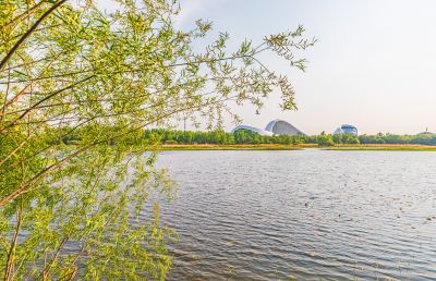 大剧院湿地
