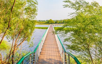大剧院湿地