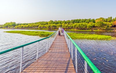 大剧院湿地