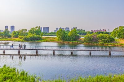 大剧院湿地