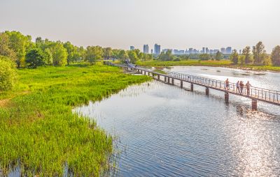 大剧院湿地