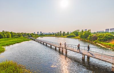 大剧院湿地