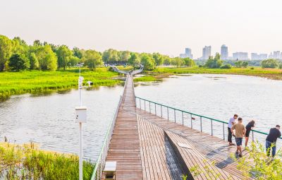 大剧院湿地