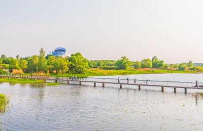 大剧院湿地
