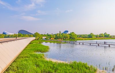 大剧院湿地