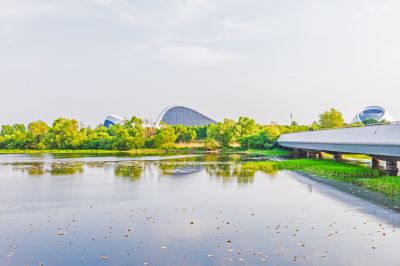 大剧院湿地