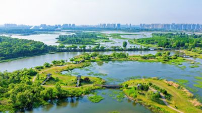 夏季哈尔滨