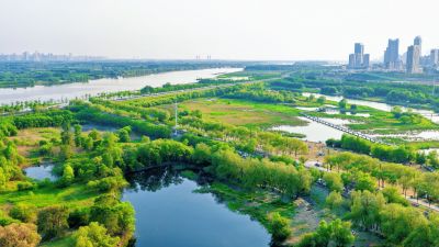 夏季哈尔滨