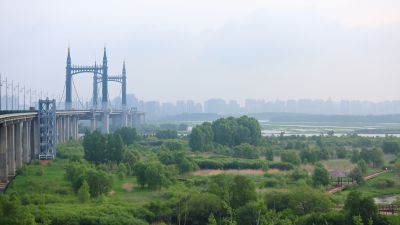 清晨的哈尔滨外滩湿地