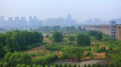 清晨的哈尔滨外滩湿地