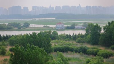 清晨的哈尔滨外滩湿地